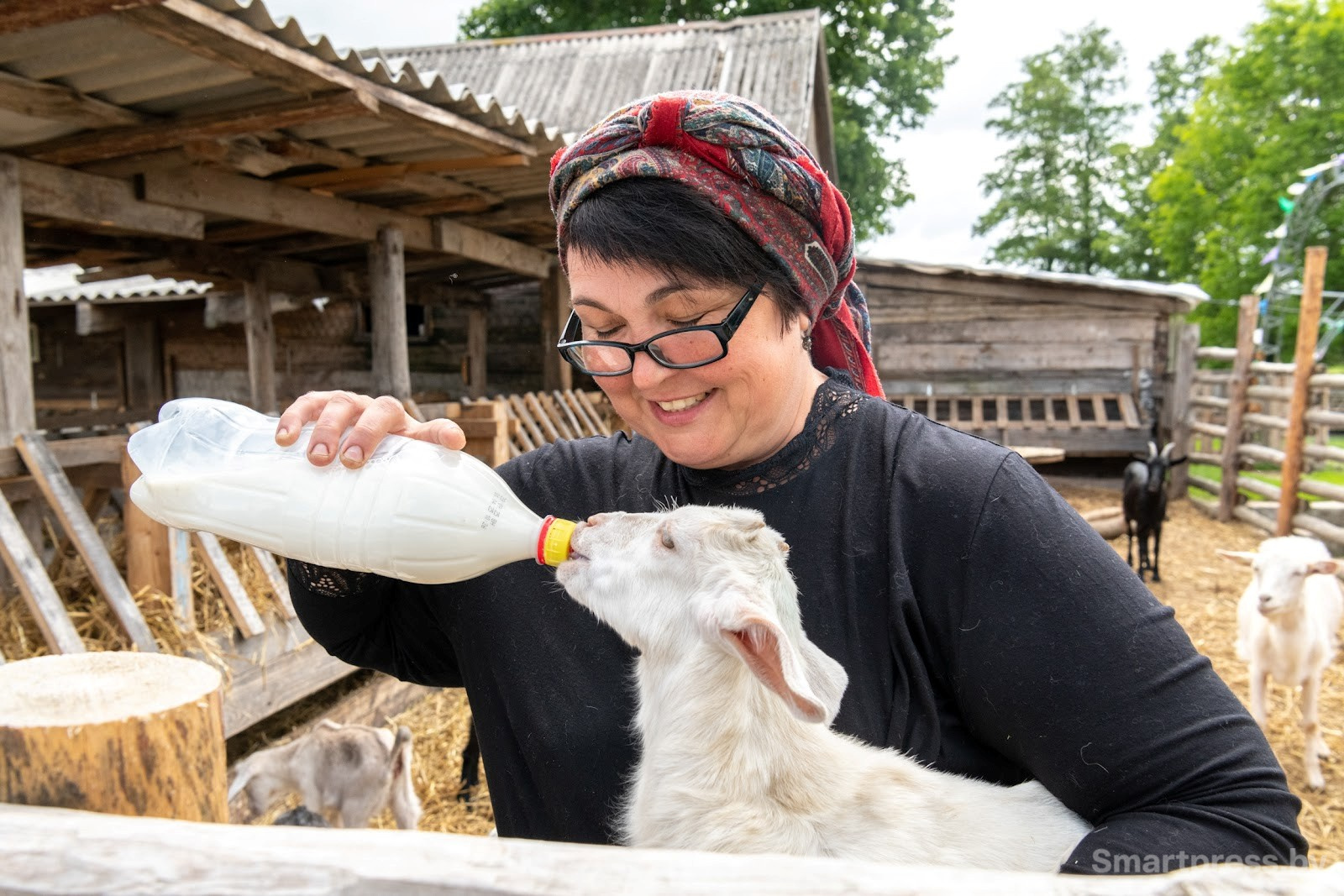1-Три года назад Наталья Строк переехала из Австрии в белорусскую деревню.jpg