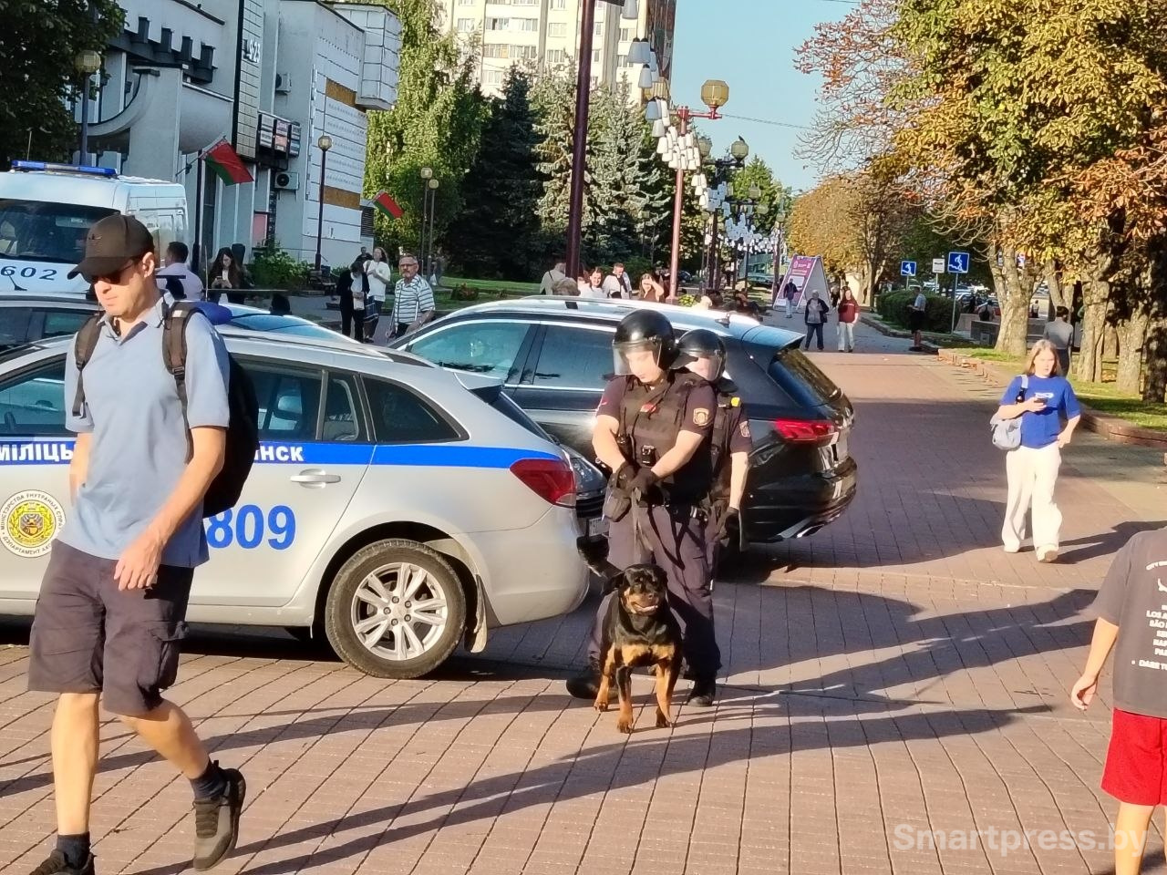 мвд
