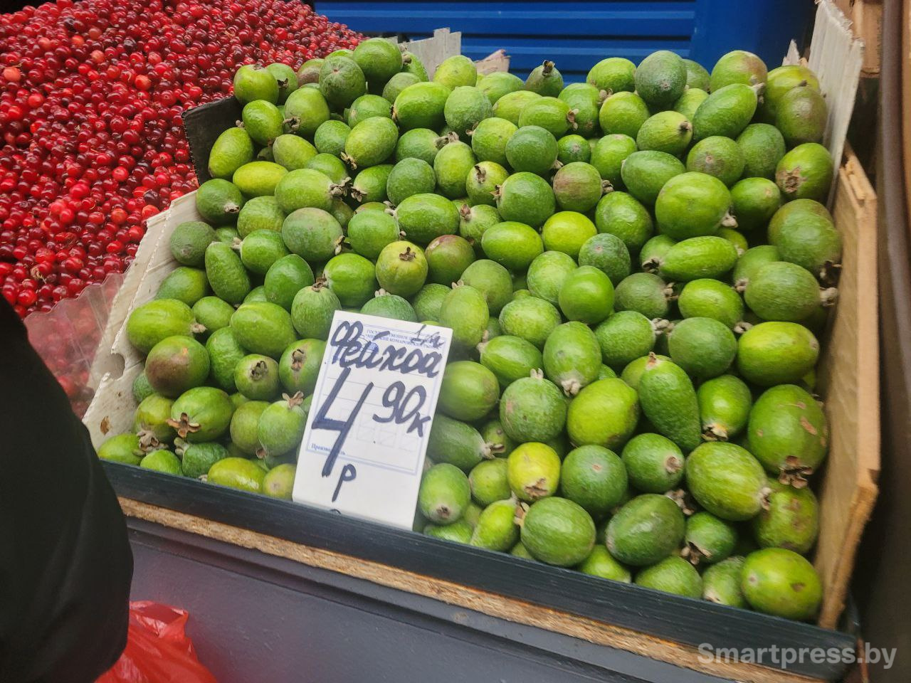 фейхоа фейхоа