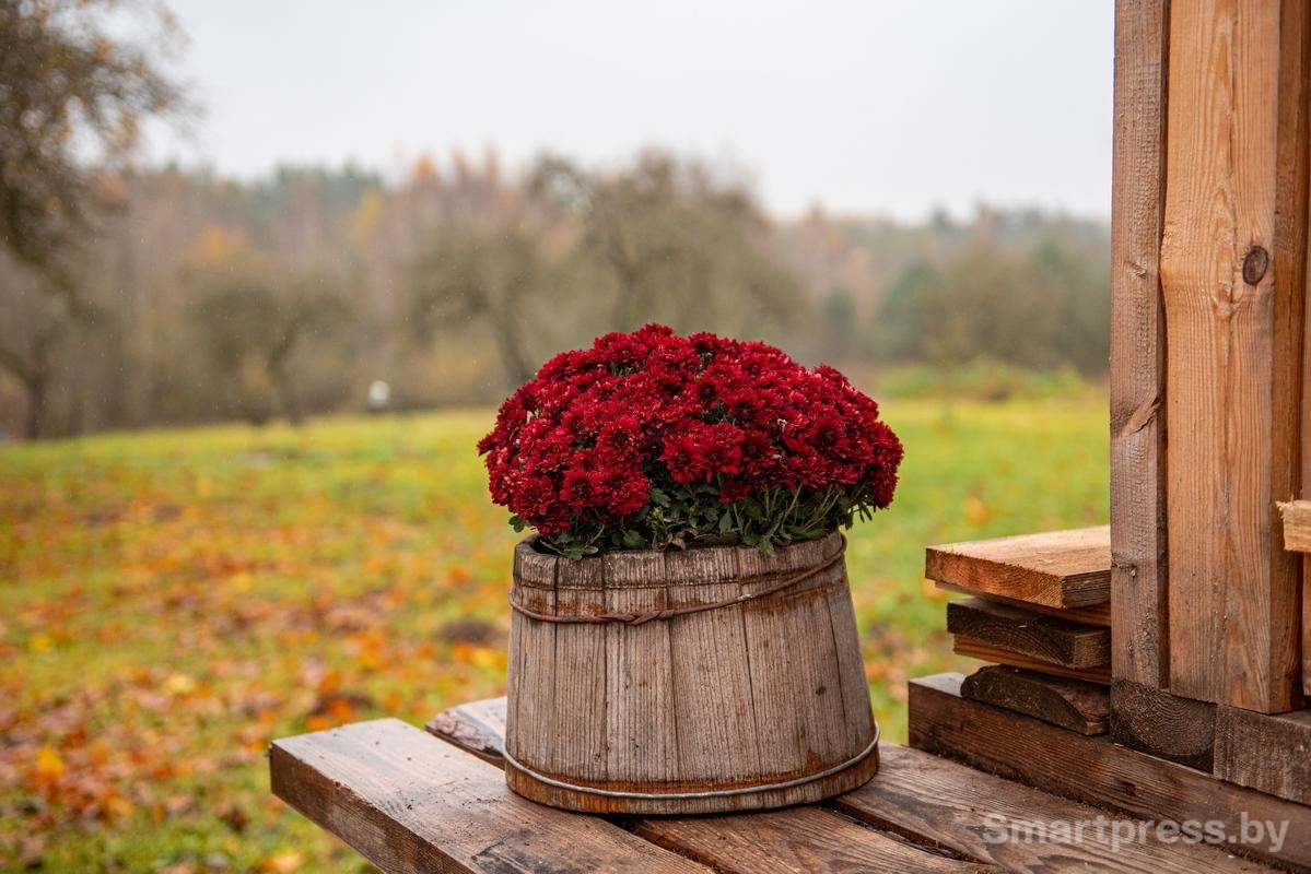 13-Антураж возле дома Тамары и Сергея.jpg