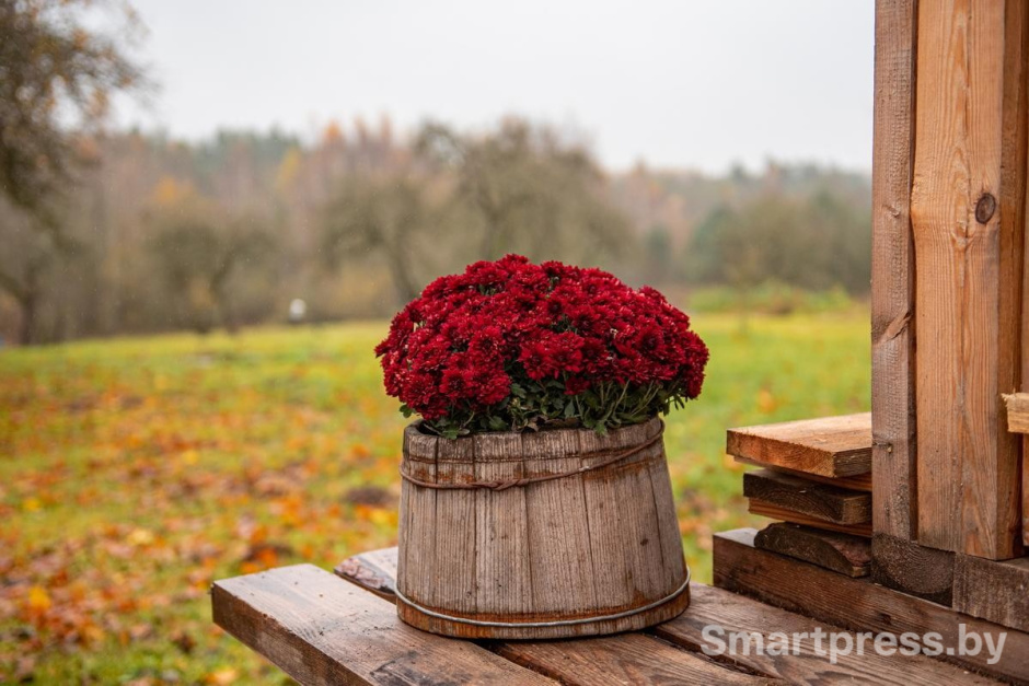 13-Антураж возле дома Тамары и Сергея.jpg
