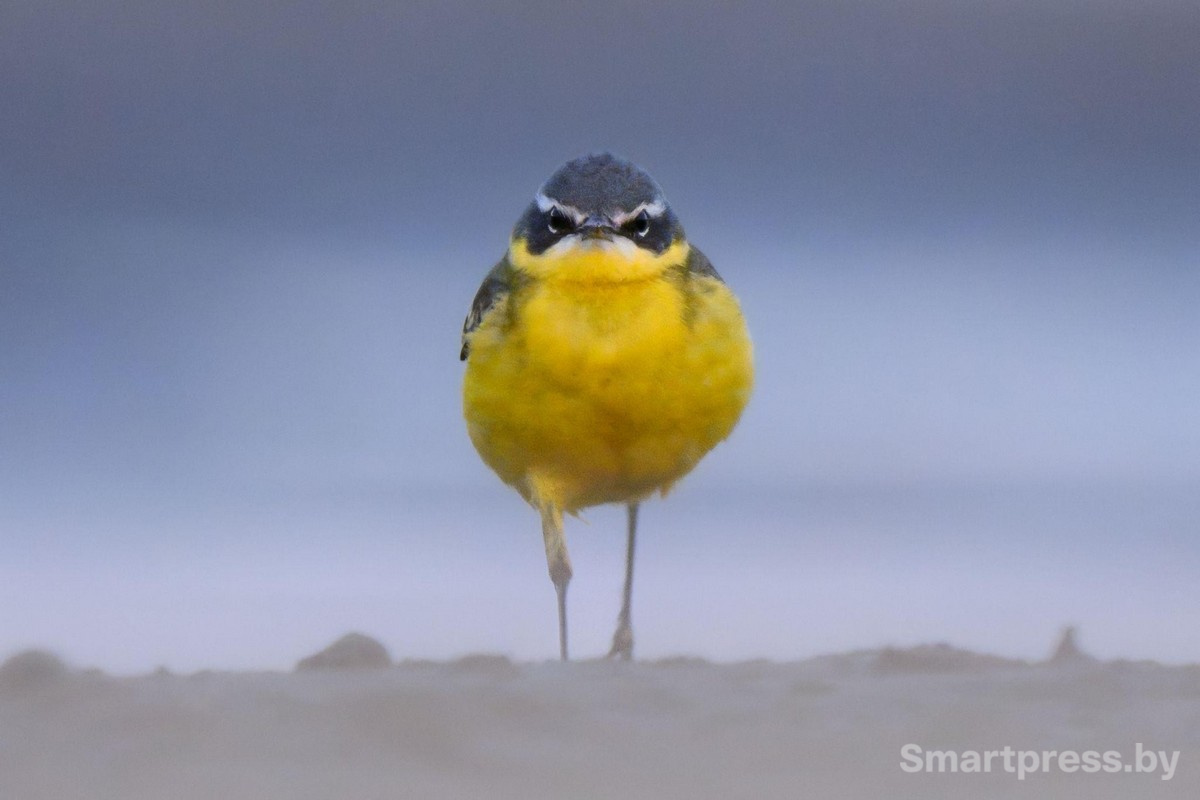 2-Фотография Асталависта Олега Алексевича.jpg