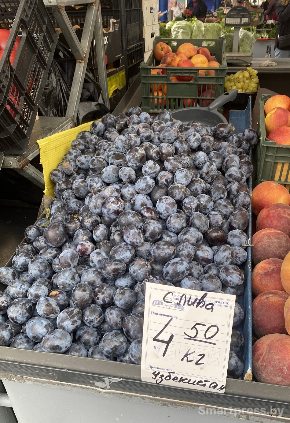 слива по 4.50 узбекистан
