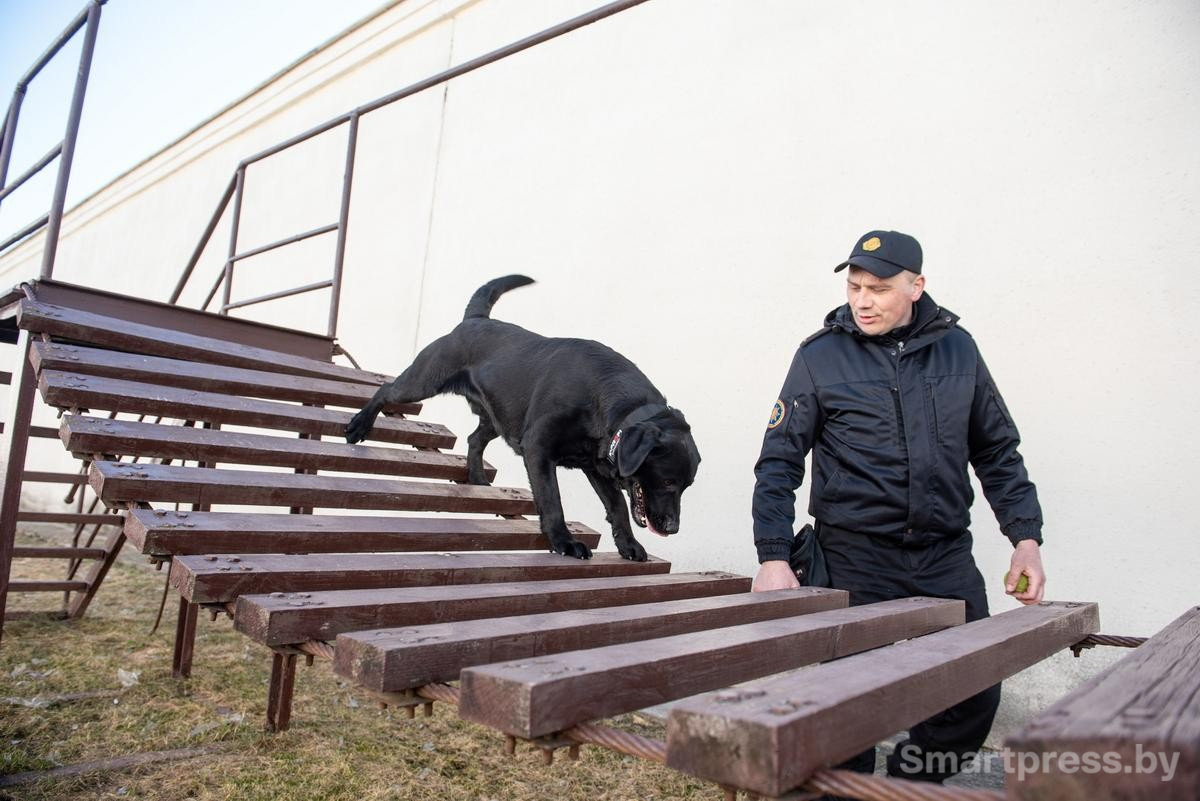 3-Дарк на тренировочной площадке.jpg