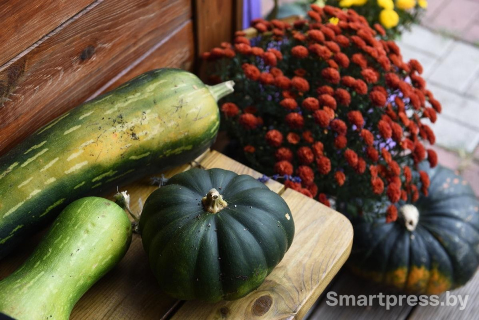 29-Убранство на участке семьи Гущенсковых.jpg