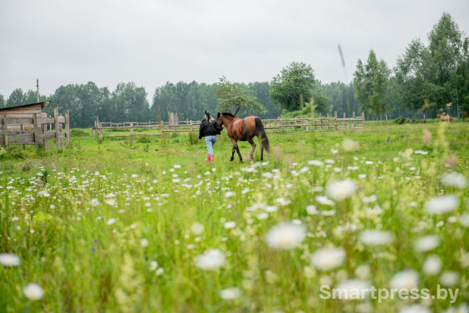 5-На хуторе живут четыре лошади.jpg