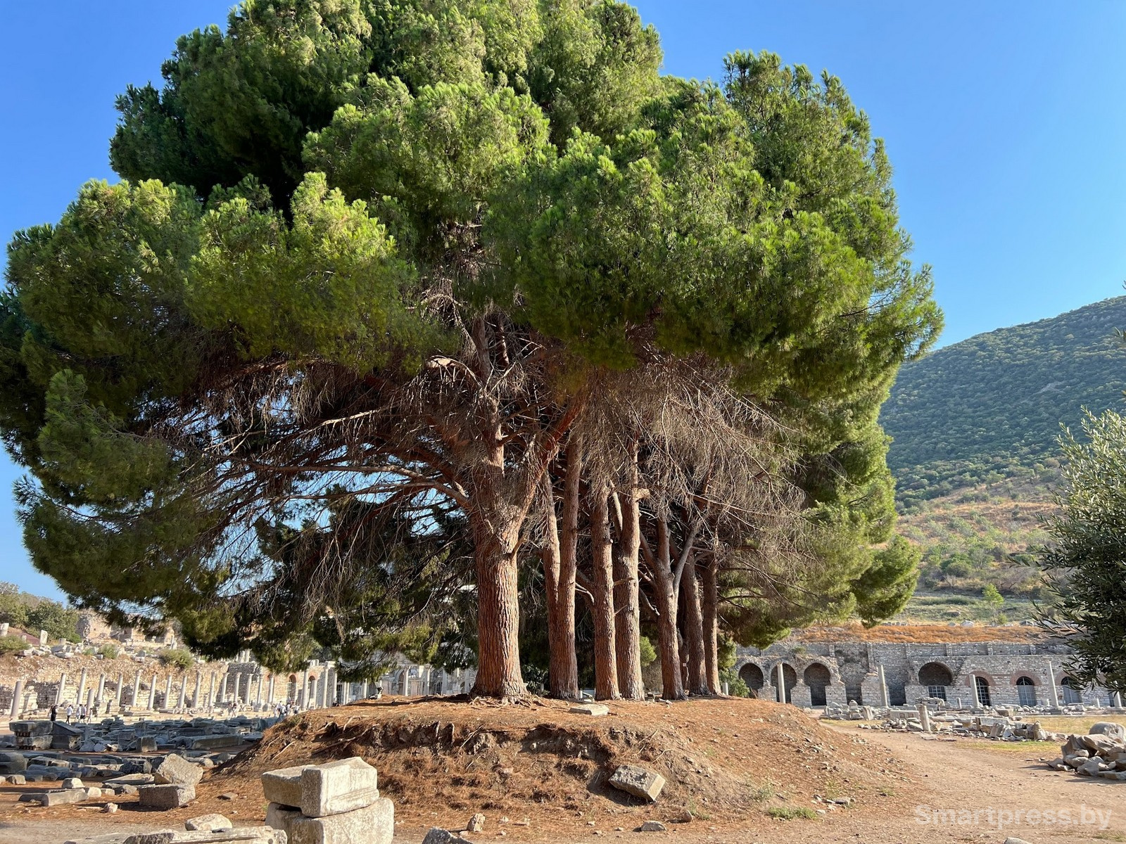 4-Эфес Турция.jpg