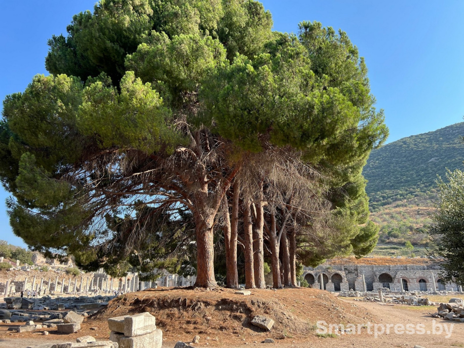 4-Эфес Турция.jpg