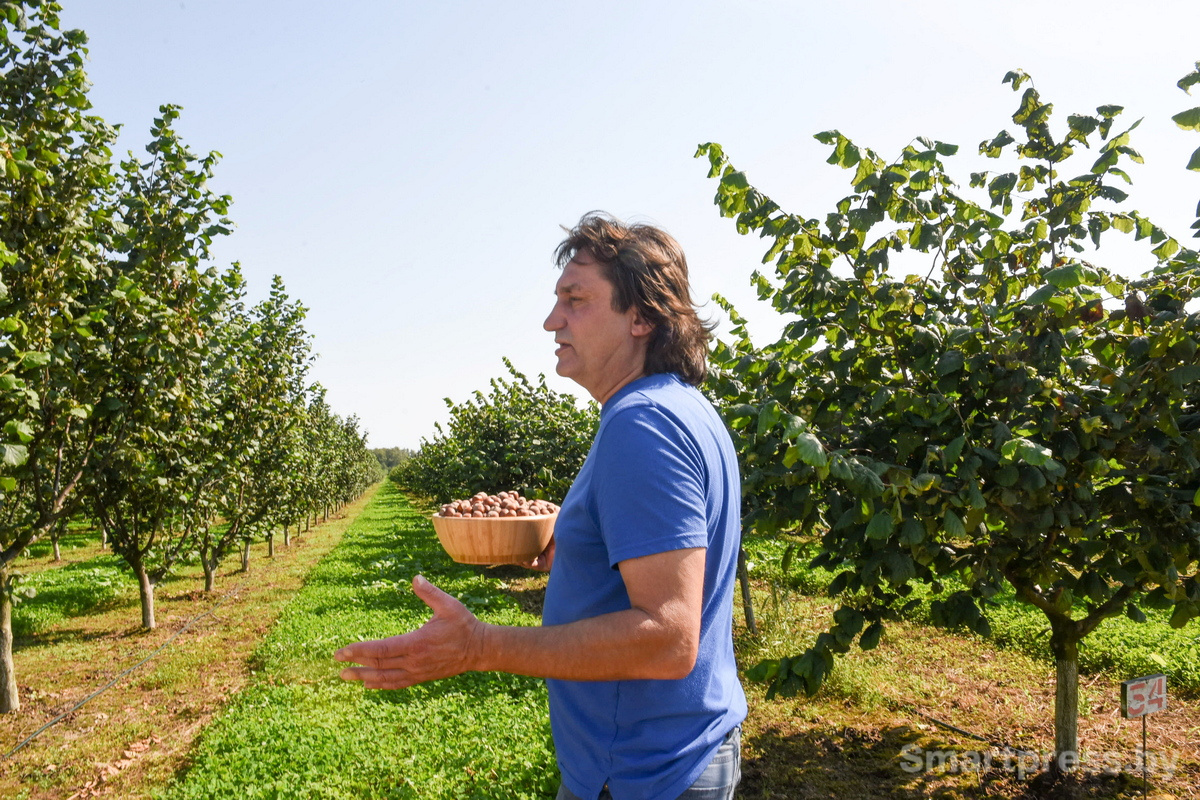 Фундоковый сад (9).jpg