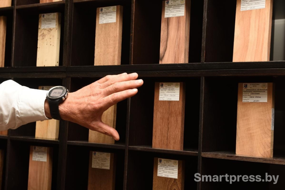 4-Коллекция ксилотеки БГТУ.jpg