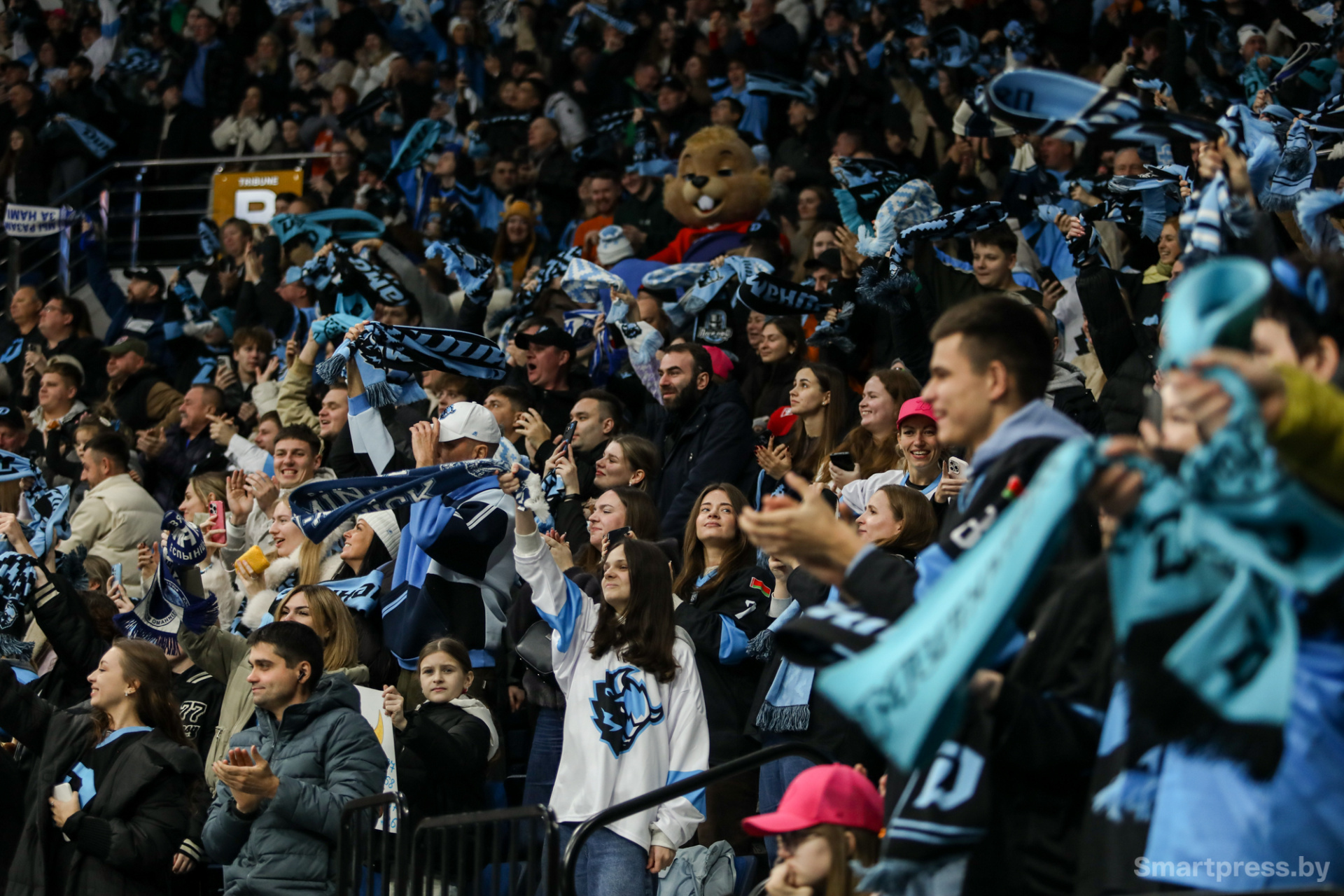 хоккей на Минск-Арене