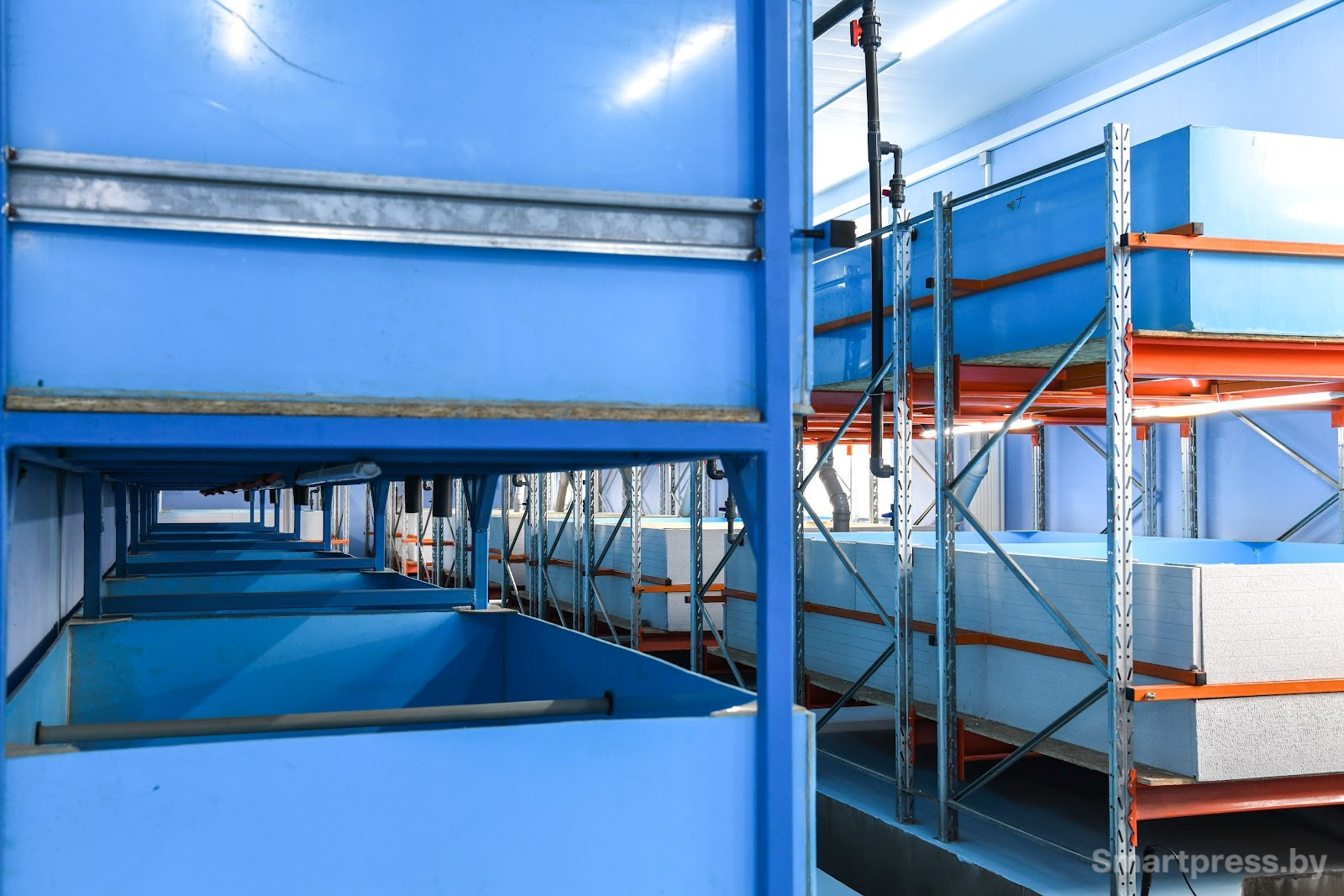 Креветочная ферма под Ляховичами 3.jpg