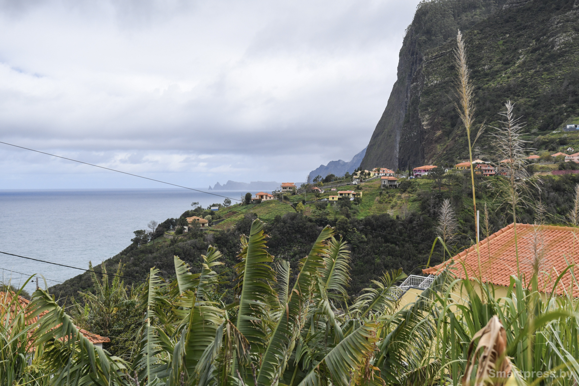 Мадейра_10.jpg