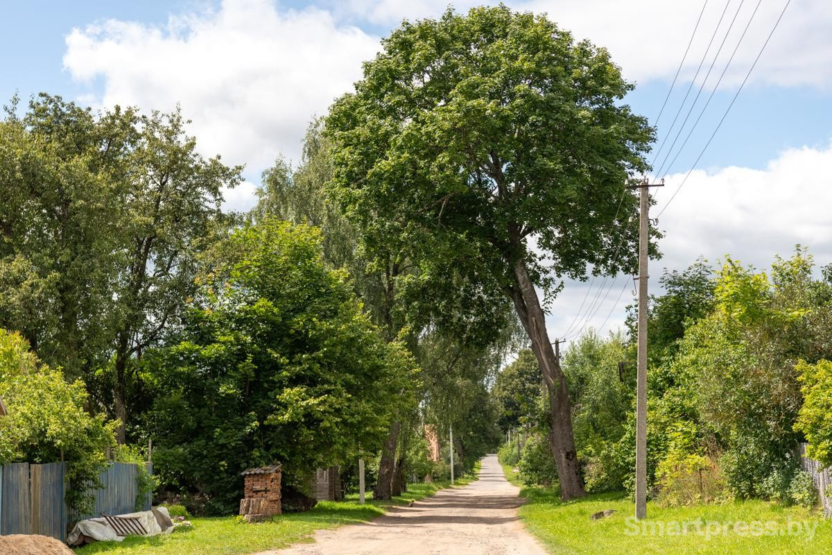 17-Дорога в деревне.jpg 17-Дорога в деревне.jpg