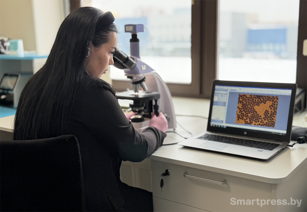 Ветеринарная клиника 9 жизней Минск