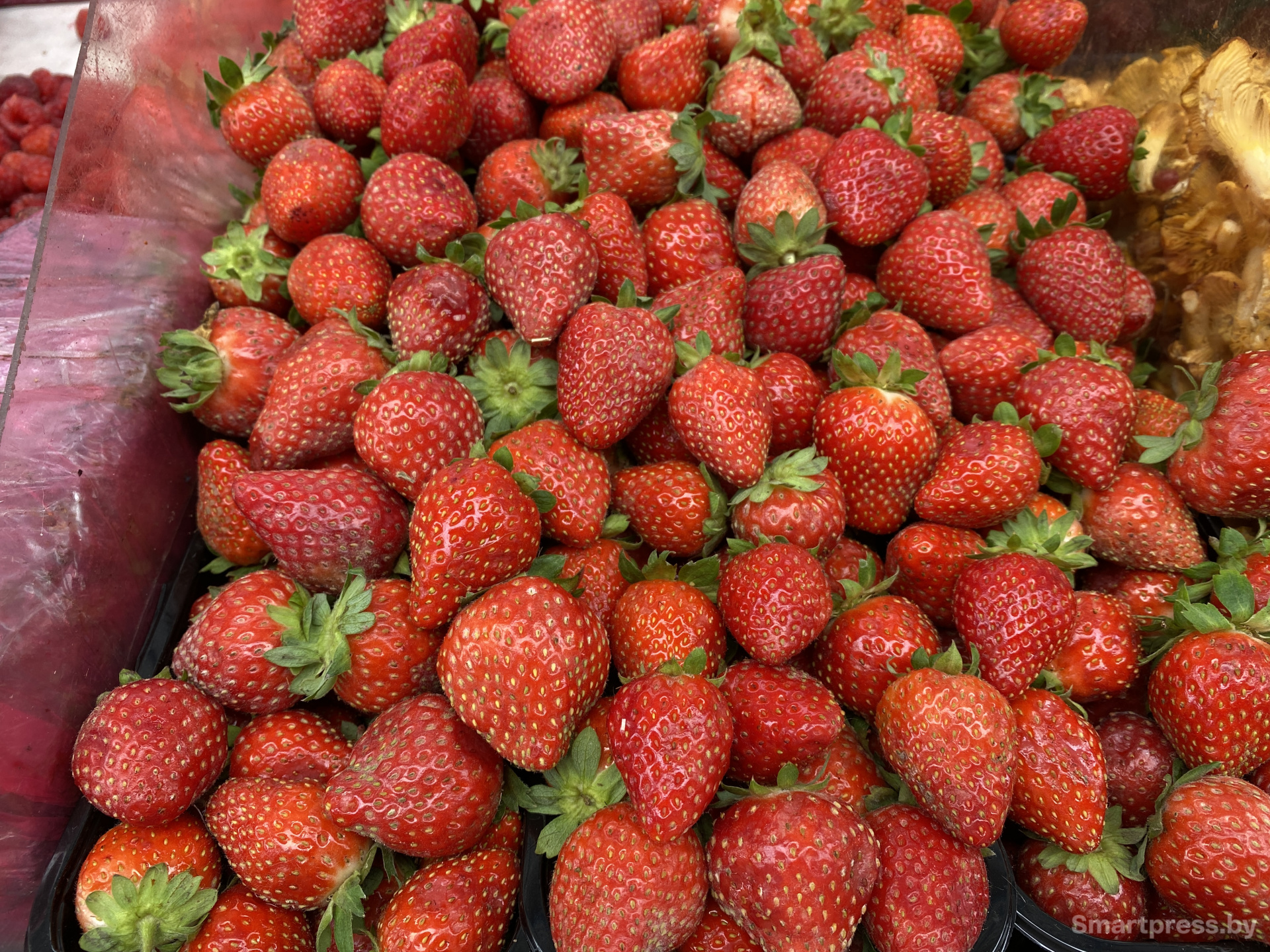 последняя клубника