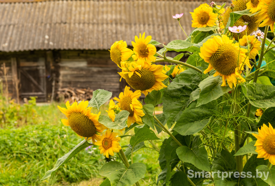 Анастасия и Зара (9).jpg