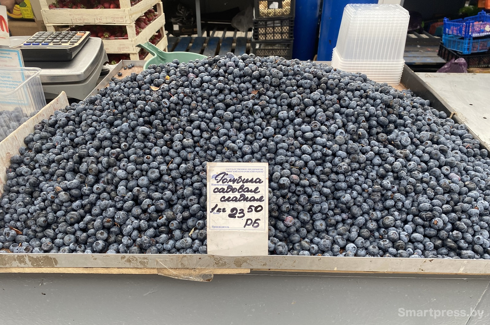 голубика по 23.50