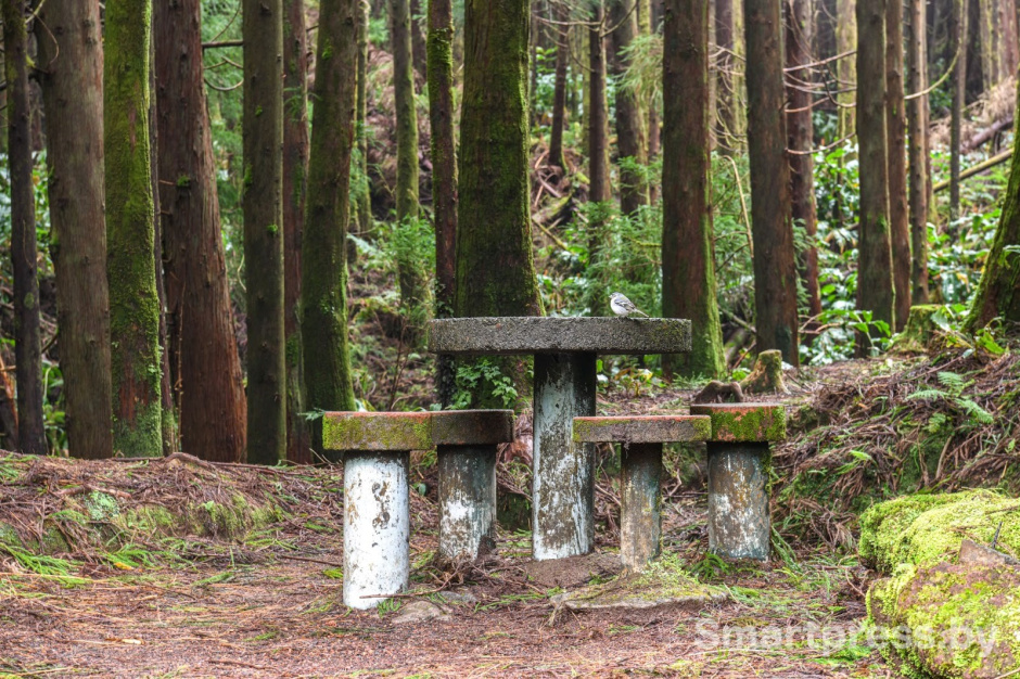 12-Остров Сан-Мигел.jpg