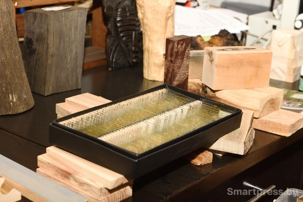 11-В ксилотеке БГТУ.jpg