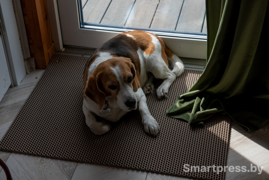 Карина_дом (28).jpg