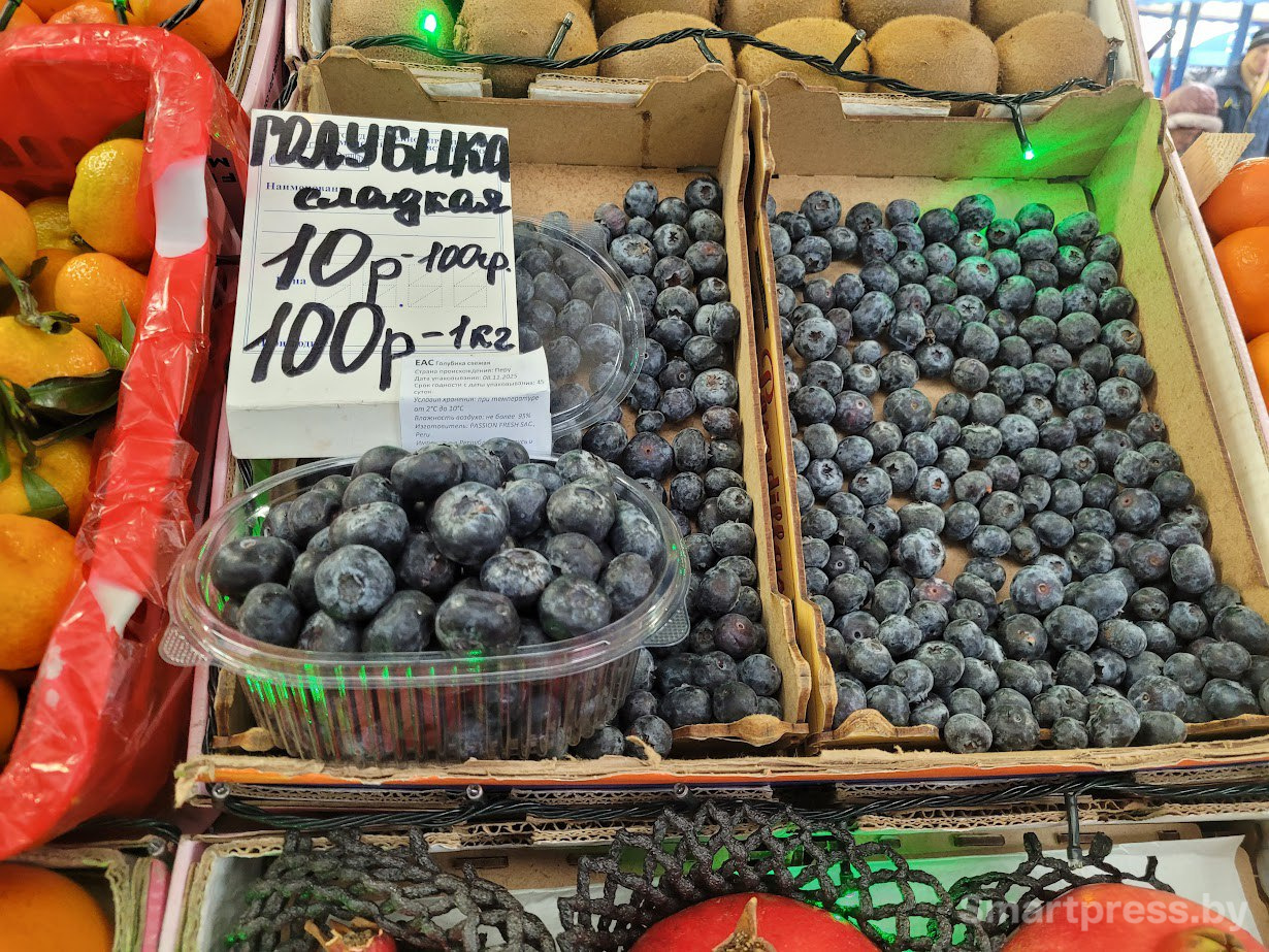 голубика голубика.jpg