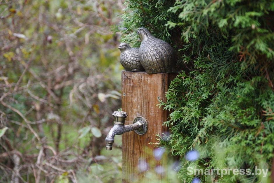 18-Участок семьи Гущенсковых в Барово.jpg