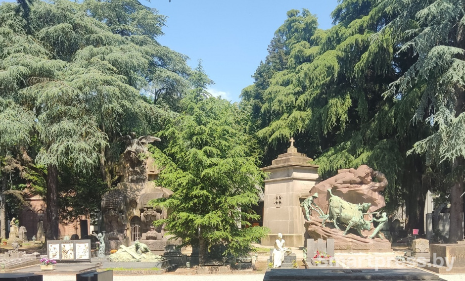 кладбище аллея