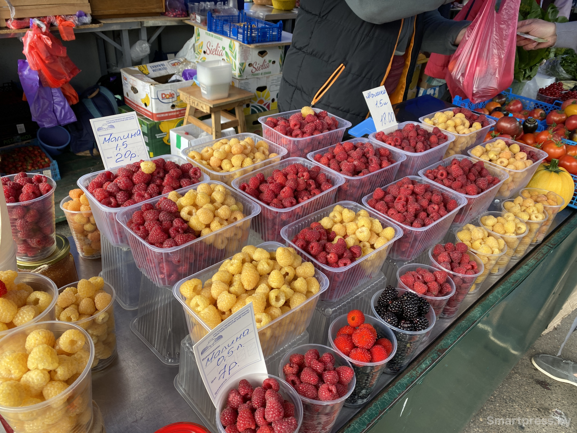 разнообразие малины