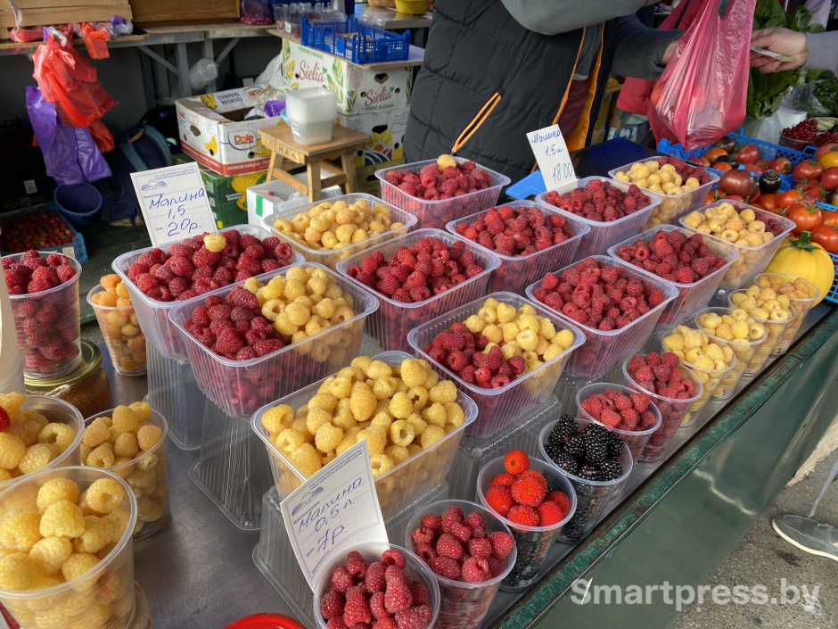 разнообразие малины