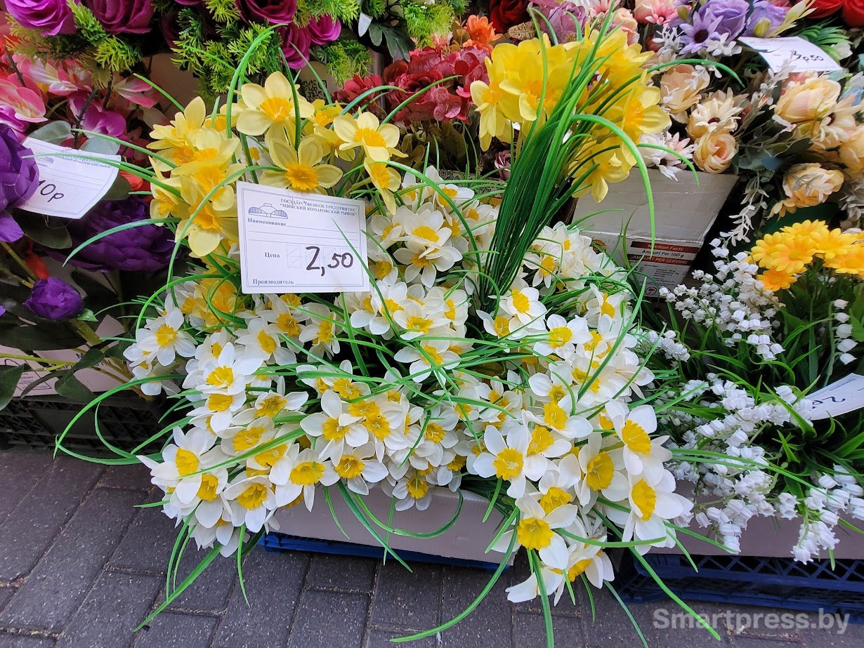 photo_2026-04-19_17-22-30 (3).jpg