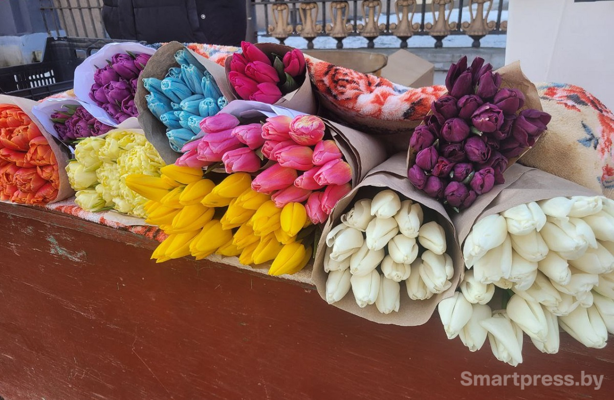 ассортимент на Академии наук