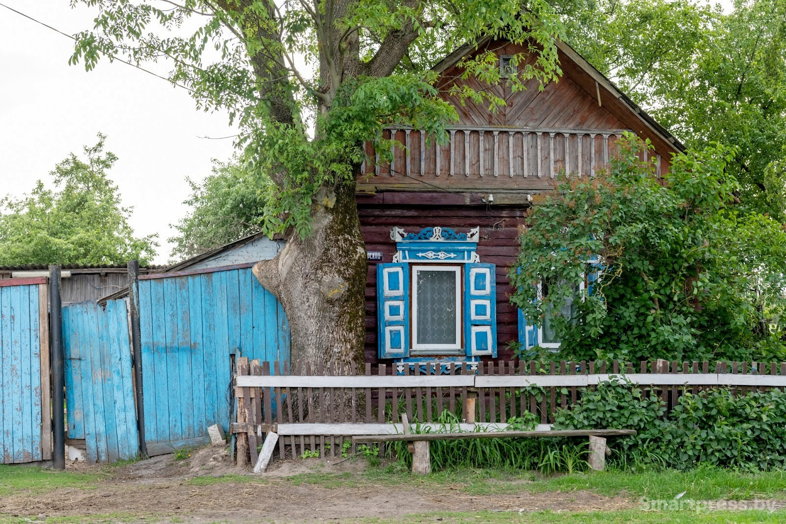 3-Деревня Неглюбка Ветковского района.jpg