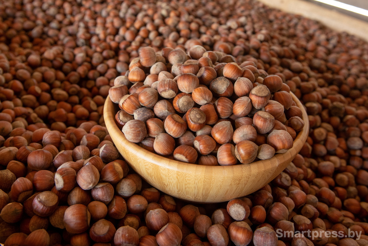 Фундоковый сад (20).jpg