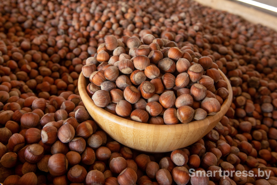 Фундоковый сад (20).jpg