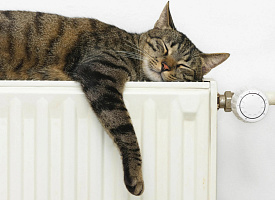 Когда отключат отопление в домах, школах и детсадах Беларуси? Узнали заранее