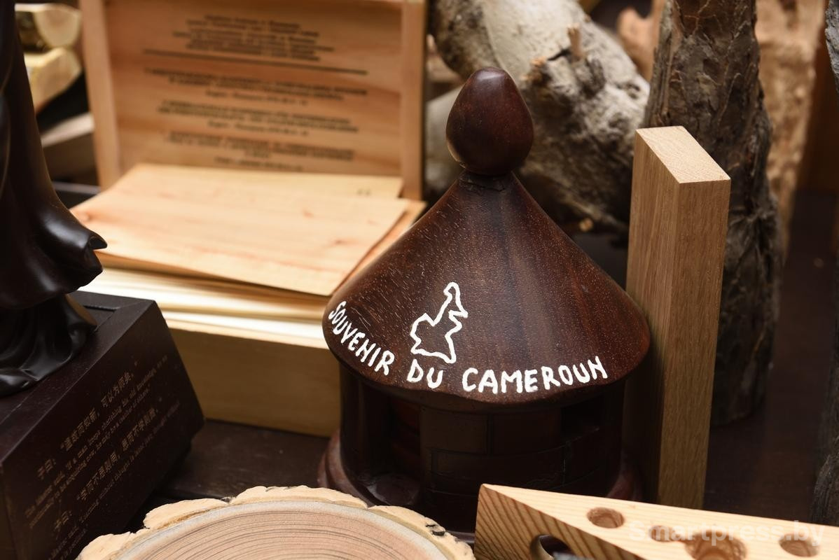 12-Коллекция ксилотеки БГТУ.jpg