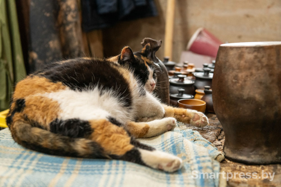 Масленица в Суле