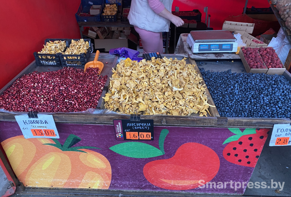 клюква лисички и голубика