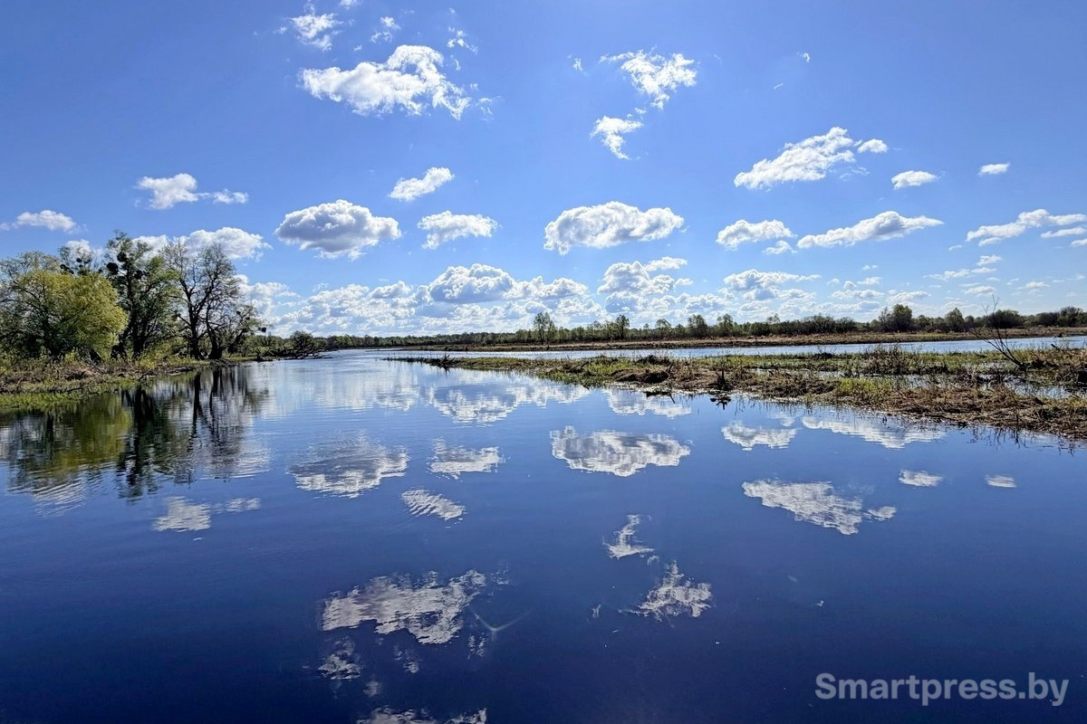 9-Разливы Припяти.jpg