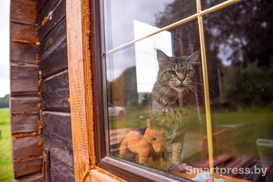 3-На хуторе Сматра Ивьевского района.jpg