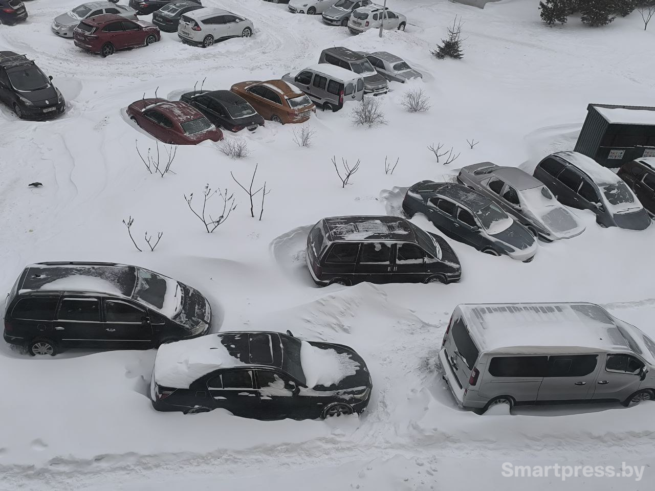 Циклон снег Циклон снег