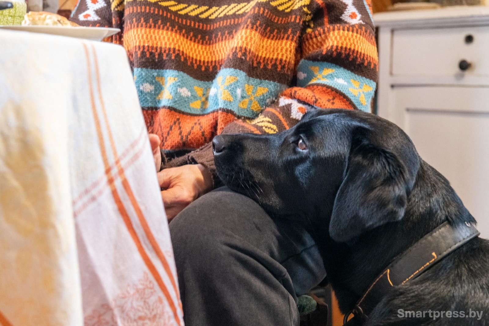 23-Собака Джесси.jpg