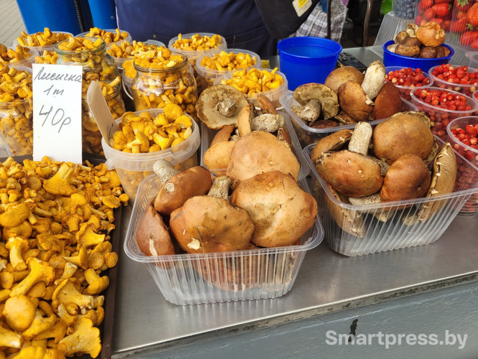 грибы на Комаровке.jpg