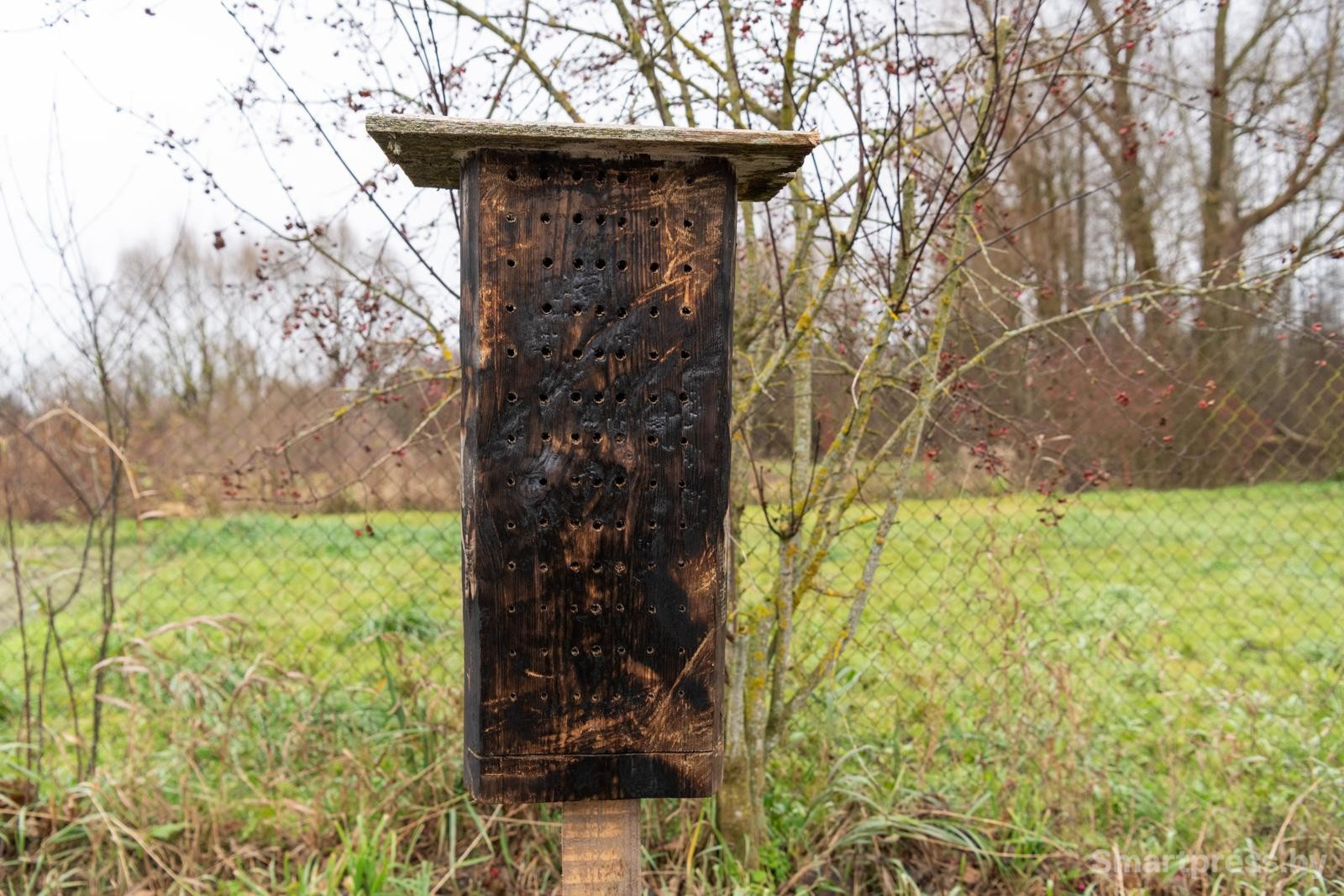 19-Отель для насекомых.jpg