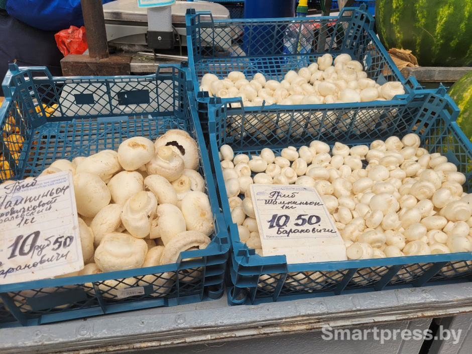 грибы на Комаровке3.jpg