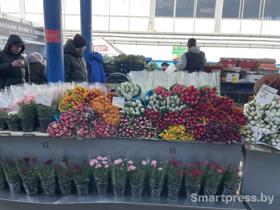 Тюльпаны Тюльпаны