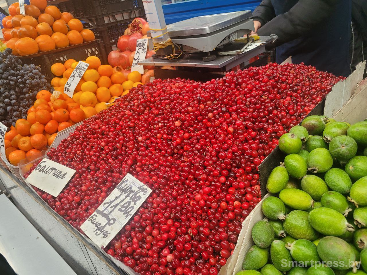 клюква по 11.90 клюква по 11.90