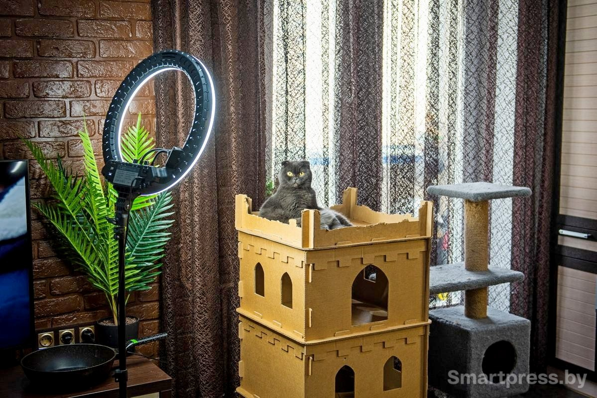 9-Боня в своем замке.jpg