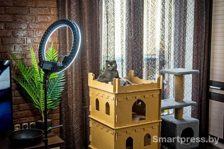 9-Боня в своем замке.jpg